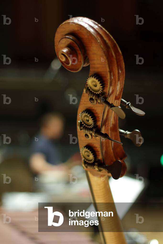 Double bass