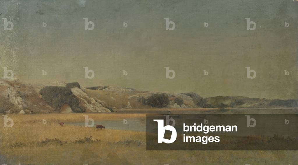 Landscape (oil on canvas)