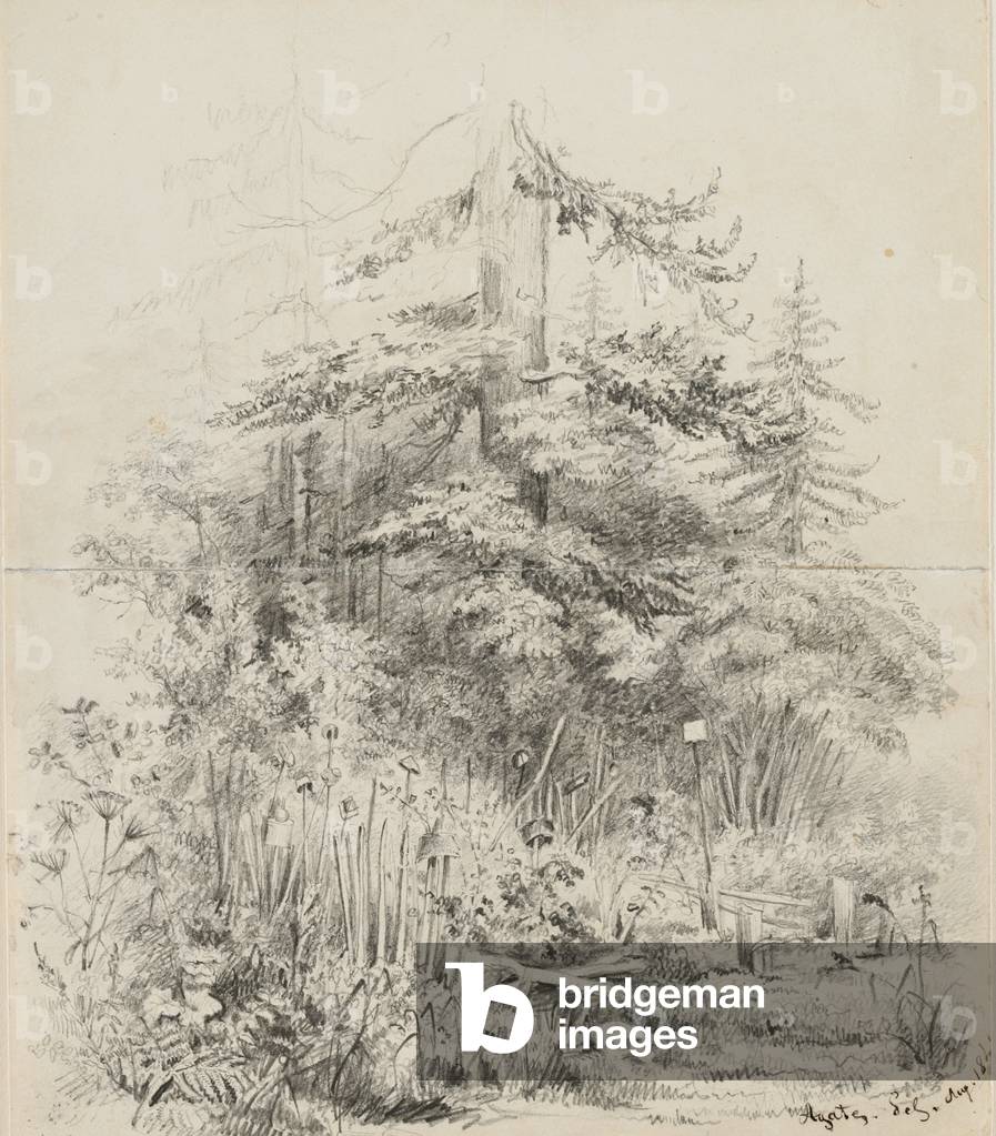 Indian Burial Place, Oregon, 1841 (graphite on two seamed sketchbook sheets of cream wove paper)