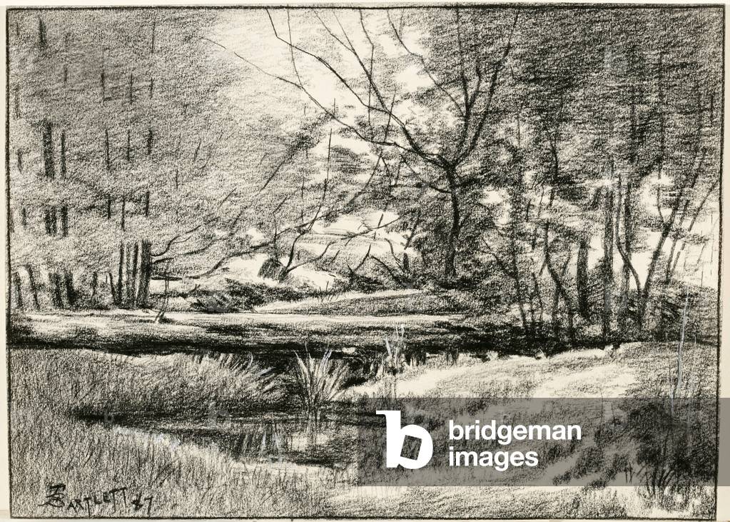 Pool in the Adirondacks, 1887 (charcoal with touches of white gouache on cream wove paper)
