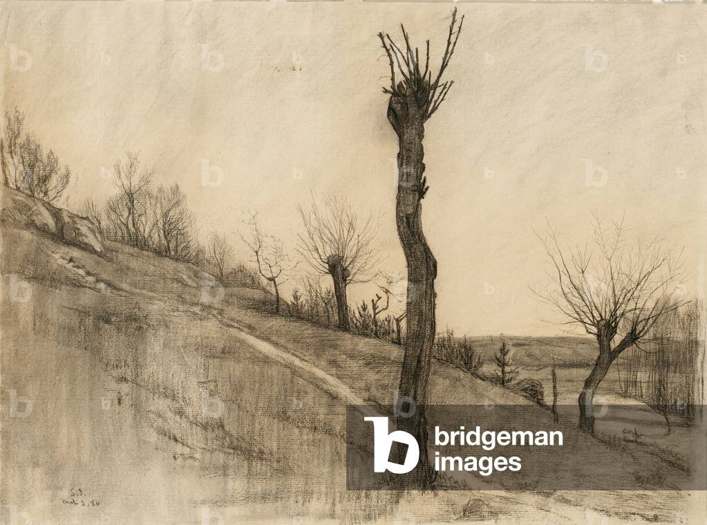 Late winter landscape, 1884 (charcoal on buff laid paper)