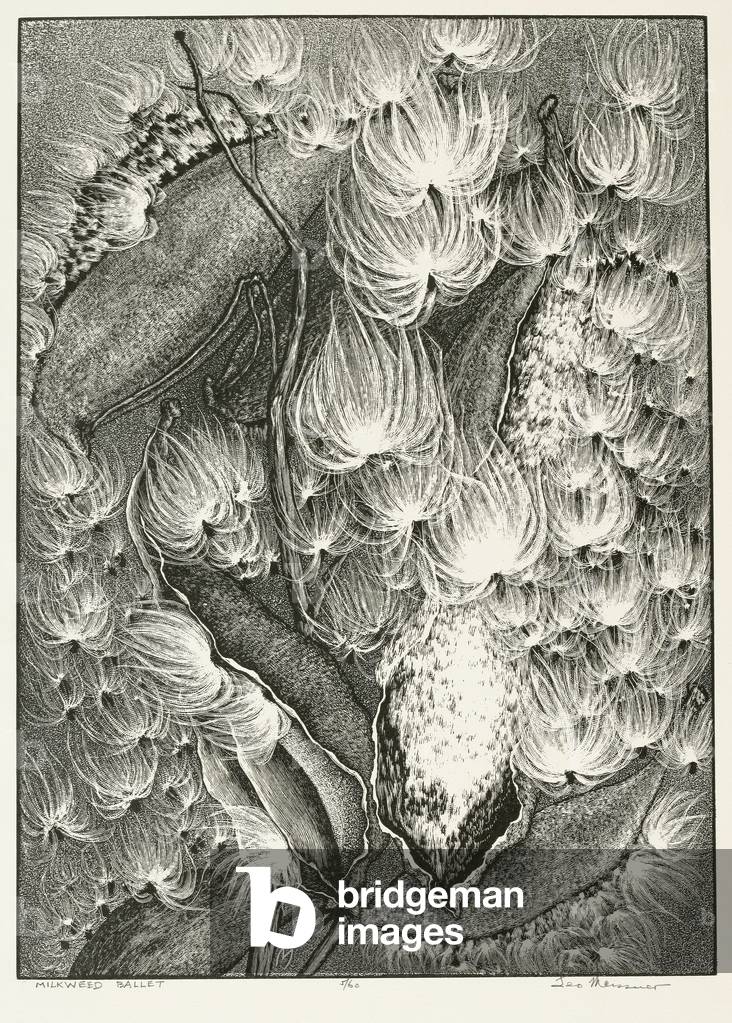 Milkweed Ballet, 1965 (wood engraving)