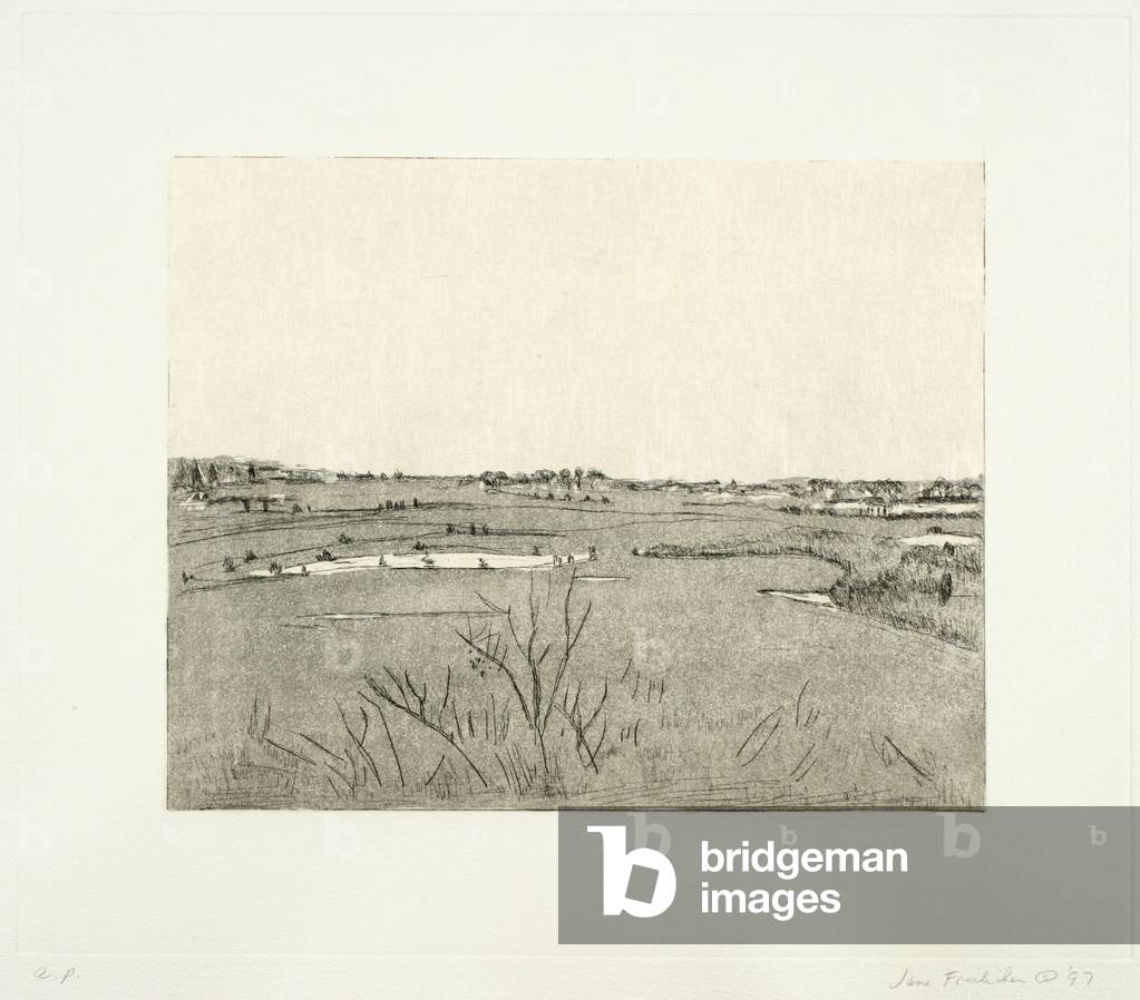 View Toward Southampton, 1997 (etching, soft-ground & aquatint)