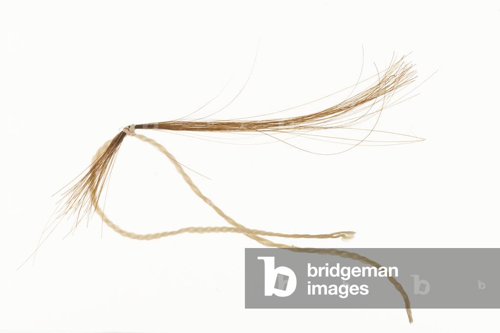 Lock of Napoleons hair, 1817 (hair, human)