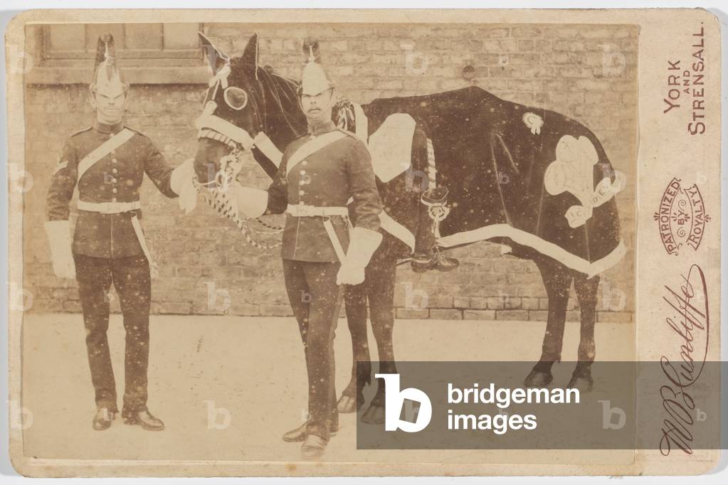 A horse of the 3rd (Prince of Waless) Dragoon Guards prepared for the funeral of the Duke of Clarence, 20 January 1892 (b/w photo)