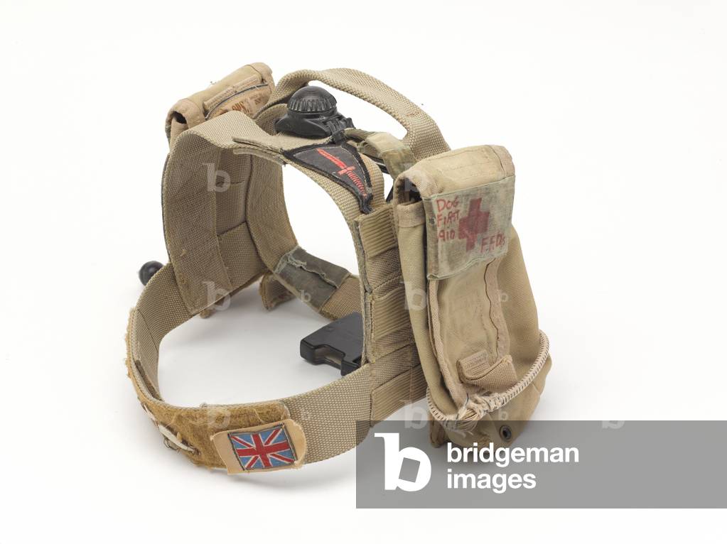 Customised harness for and Improvised Explosive Device (IED) search dog, 2007 circa