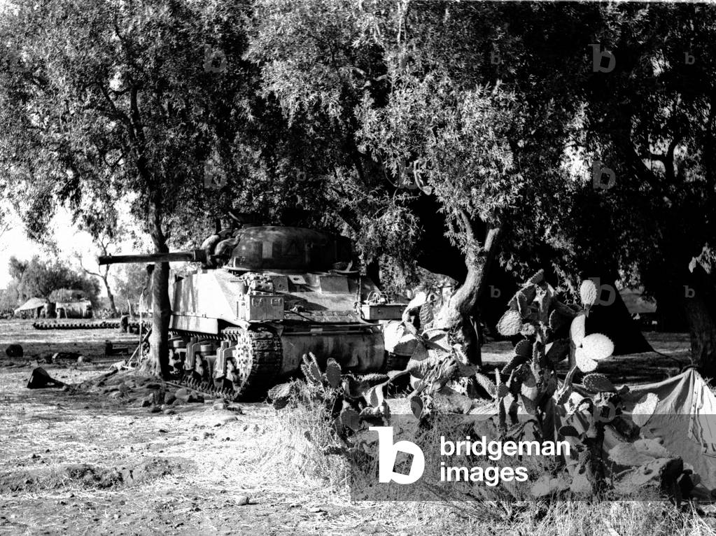 A concealed tank at Misterbianco, Sicily, 1943 (b/w photo)