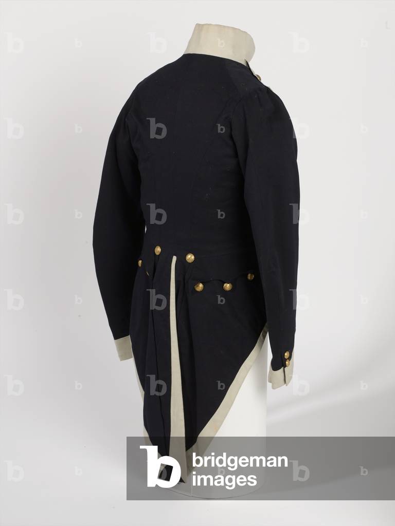 Officers Levee Dress Coatee, 22nd Regiment of (Light) Dragoons, 1815 (fabric)