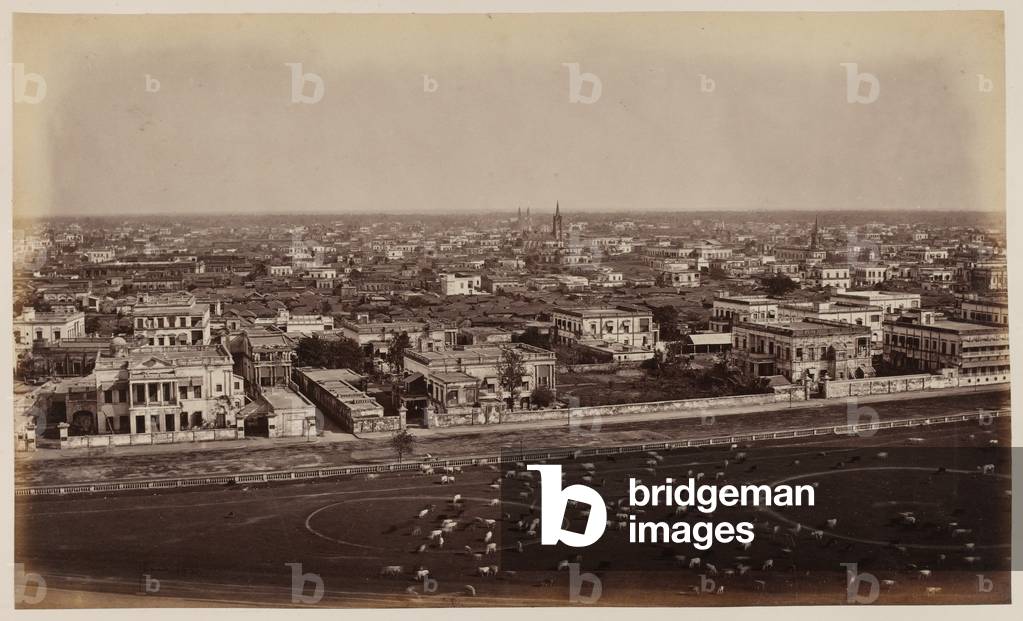 View from the Ochterlony Monument, Calcutta, 1865 (b/w photo)