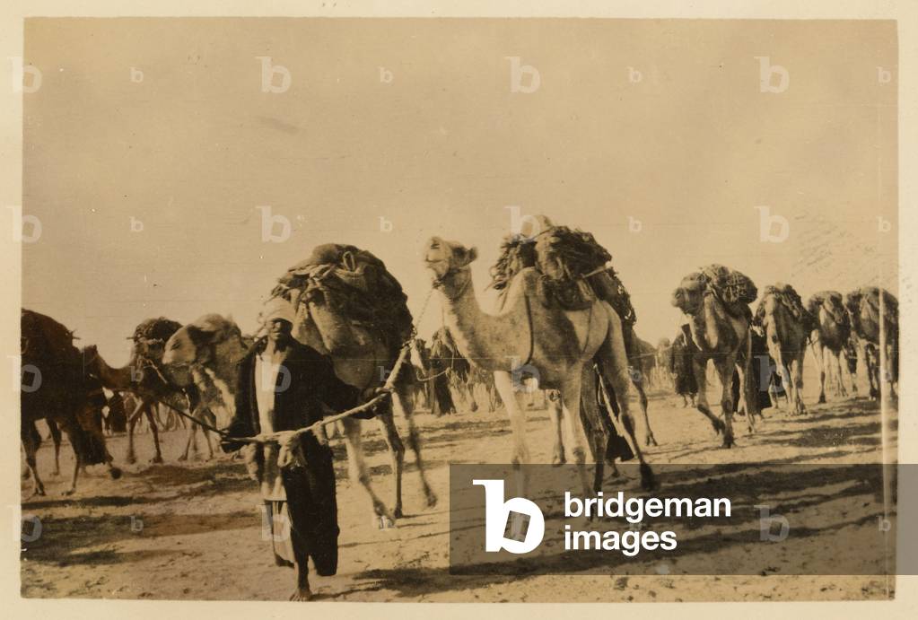An Egyptian Camel Transport Corps convoy heading to Bahariya Oasis, Libyan Desert, 1916 (b/w photo)