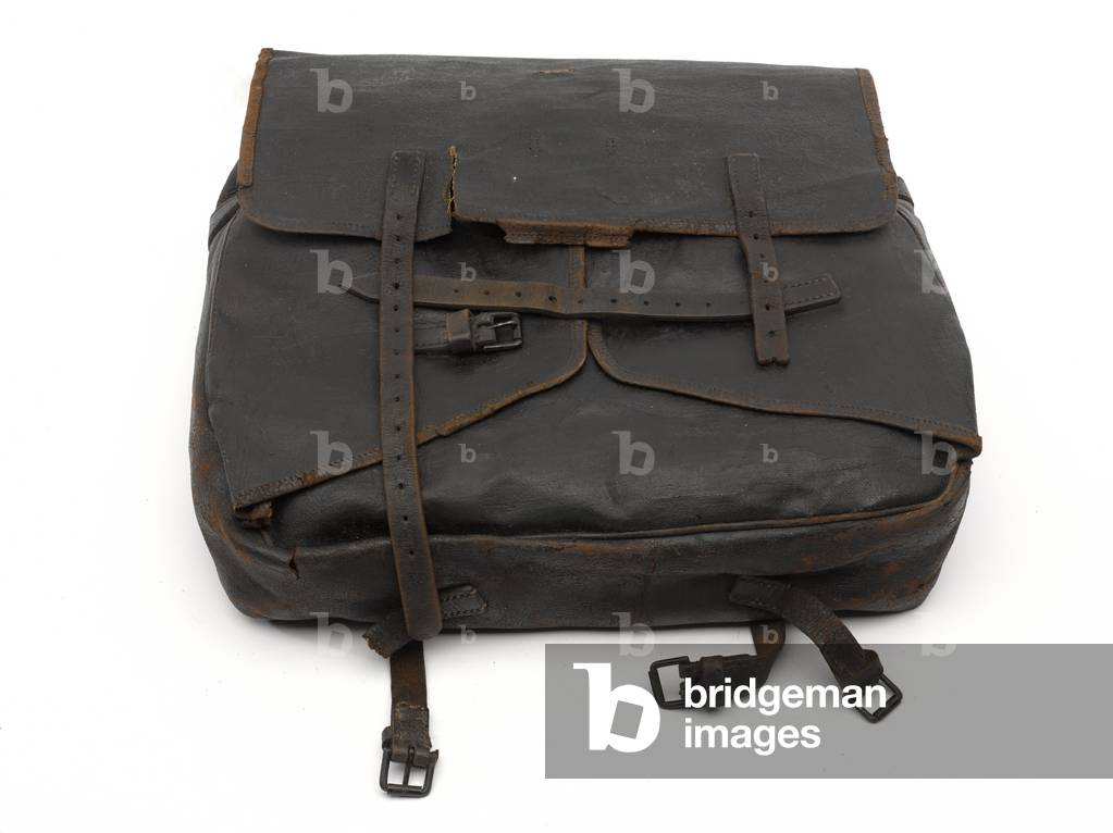 1882 Pattern Valise, 1882 circa (canvas)
