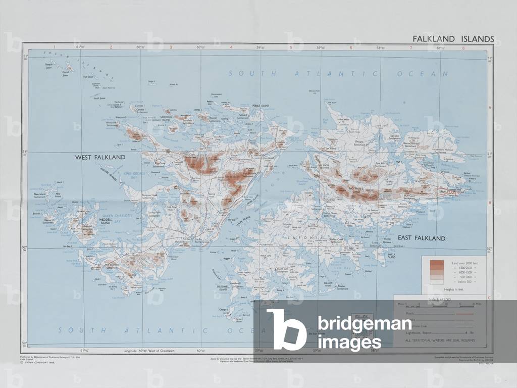 Directorate of Overseas Surveys map of the Falklands Islands, c.1983 (colour litho)