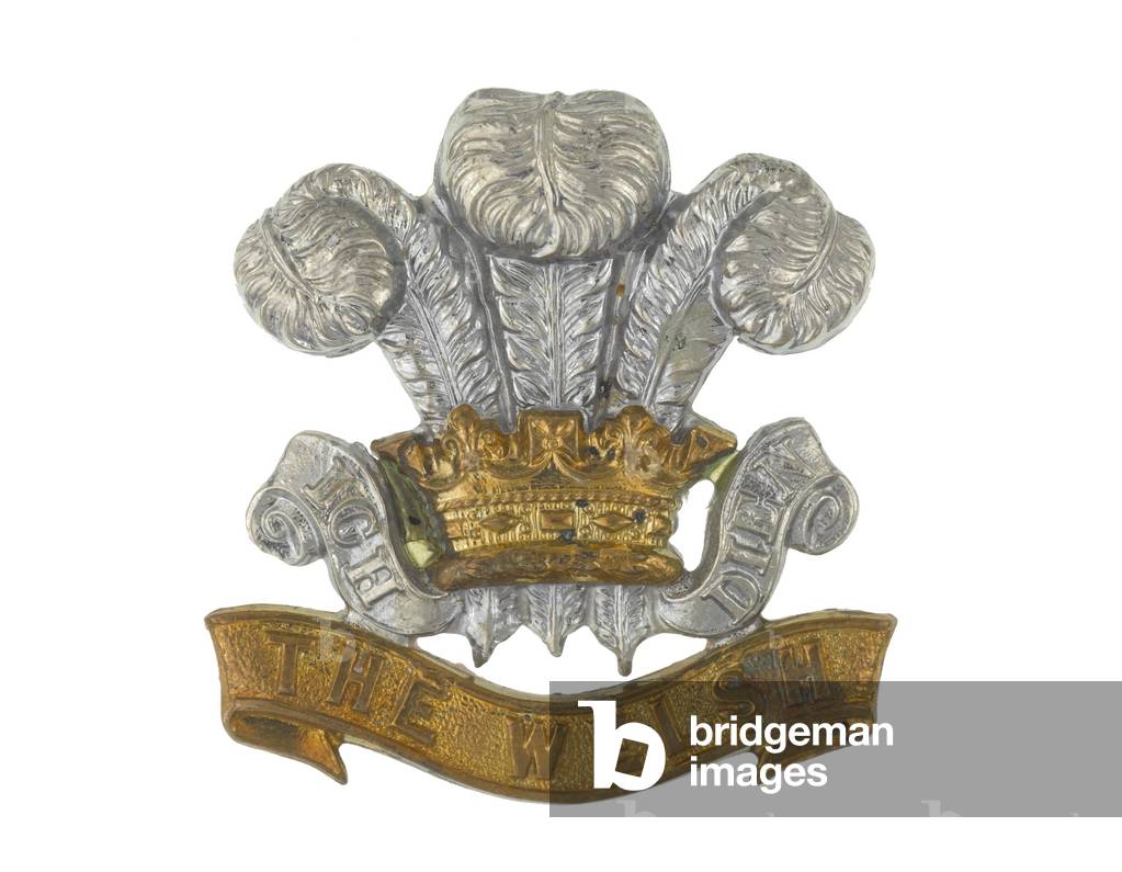 Cap badge, c.1900 (metal)