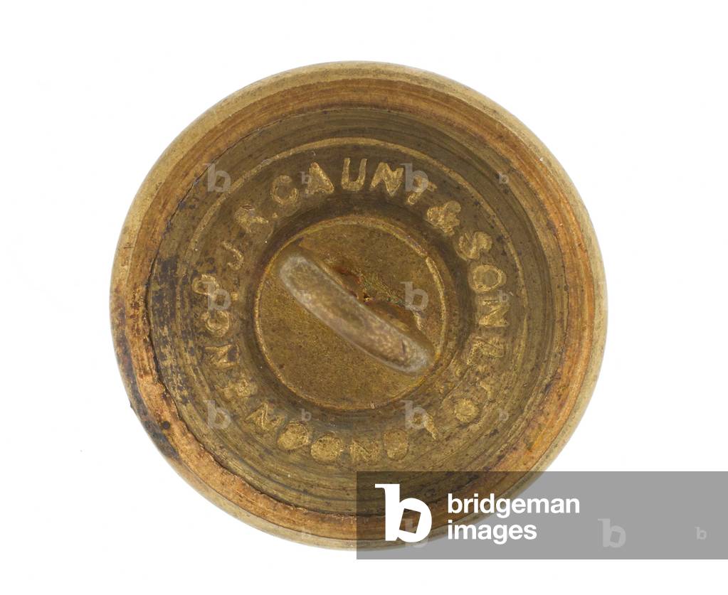 Button, 9th Hodsons Horse, 1901-1922 (gilt)