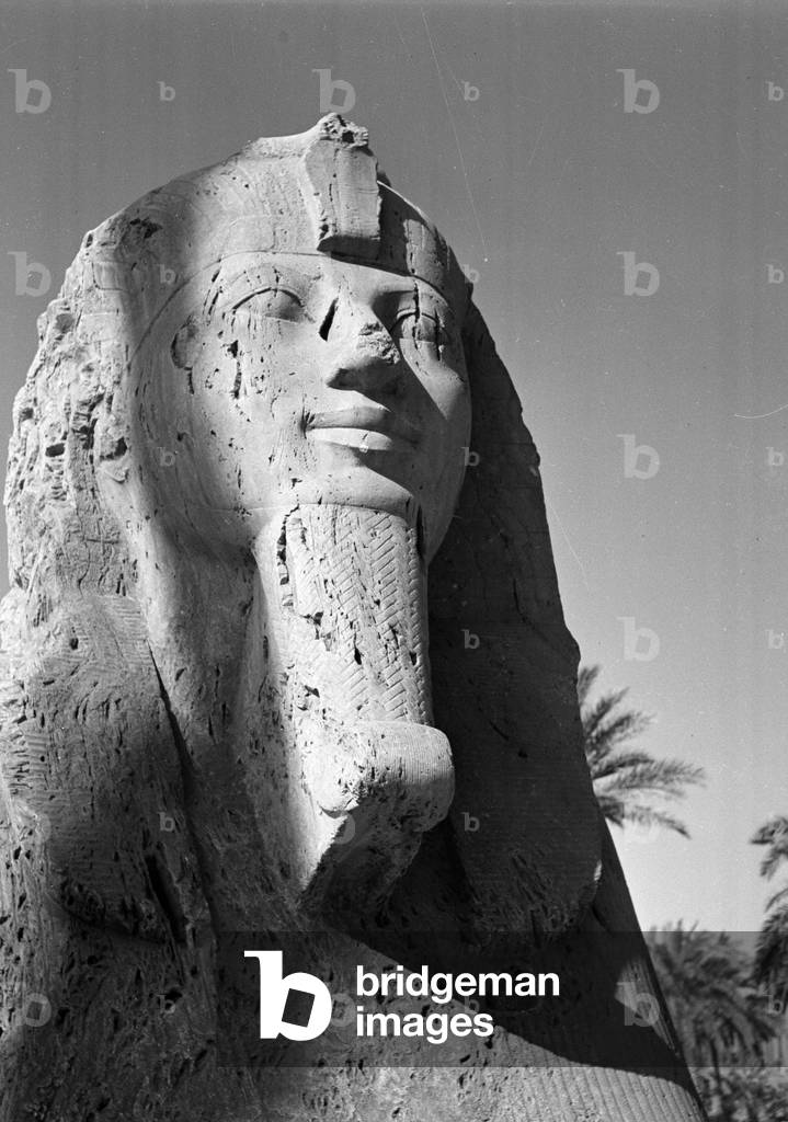 The Alabaster Sphinx at Memphis, 1942 circa (b/w photo)