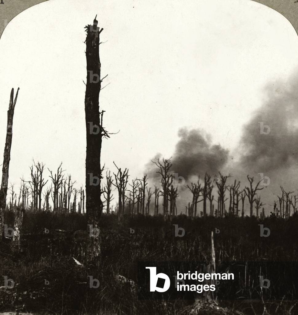 High explosive shells bursting in Mametz Wood, hotly contested with the Prussian Guards, finally taken July 1916, 1916 (b/w photo)