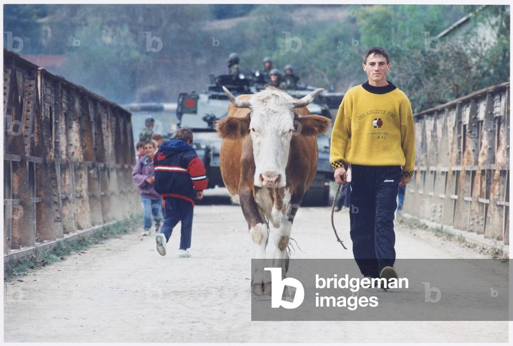 A British Challenger tank following a farm boy and his cow across a bridge, Kosovo, 1999 (photo)