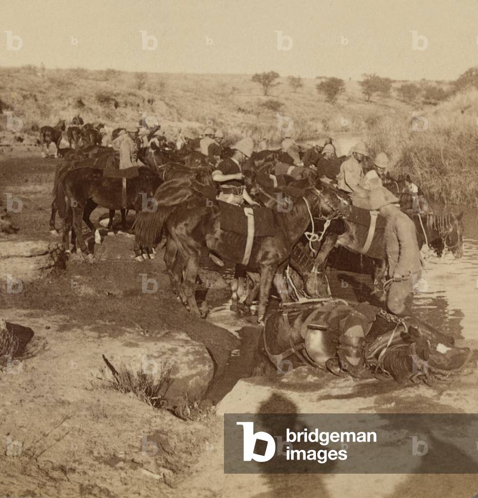 Watering Artillery horses, Welgelegen, South Africa, 1899 (photograph, stereoscopic)