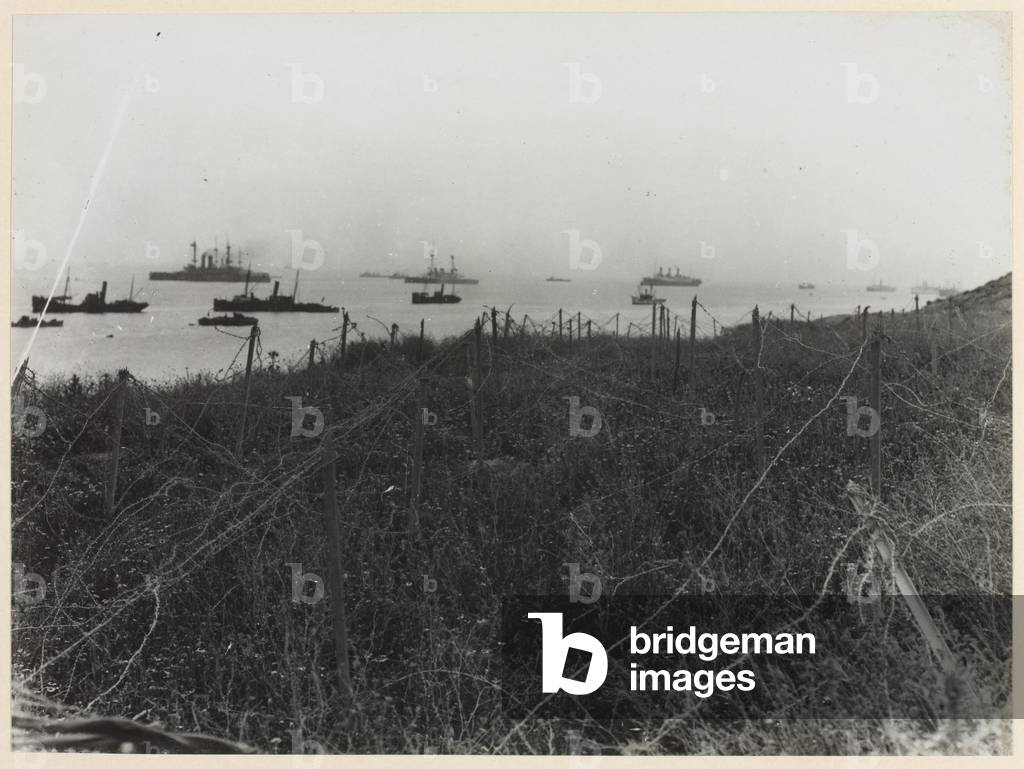 Barbed wire near Sedd-el-Bahr, 1915 (b/w photo)