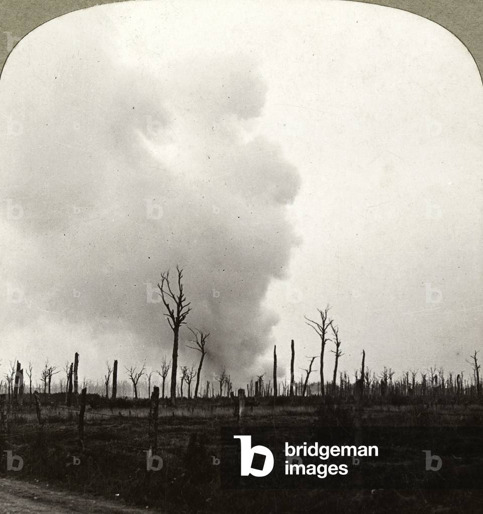 Delville Wood, shattered in fierce struggles by the South Africans who heroically resisted fierce attack, 1916 (b/w photo)