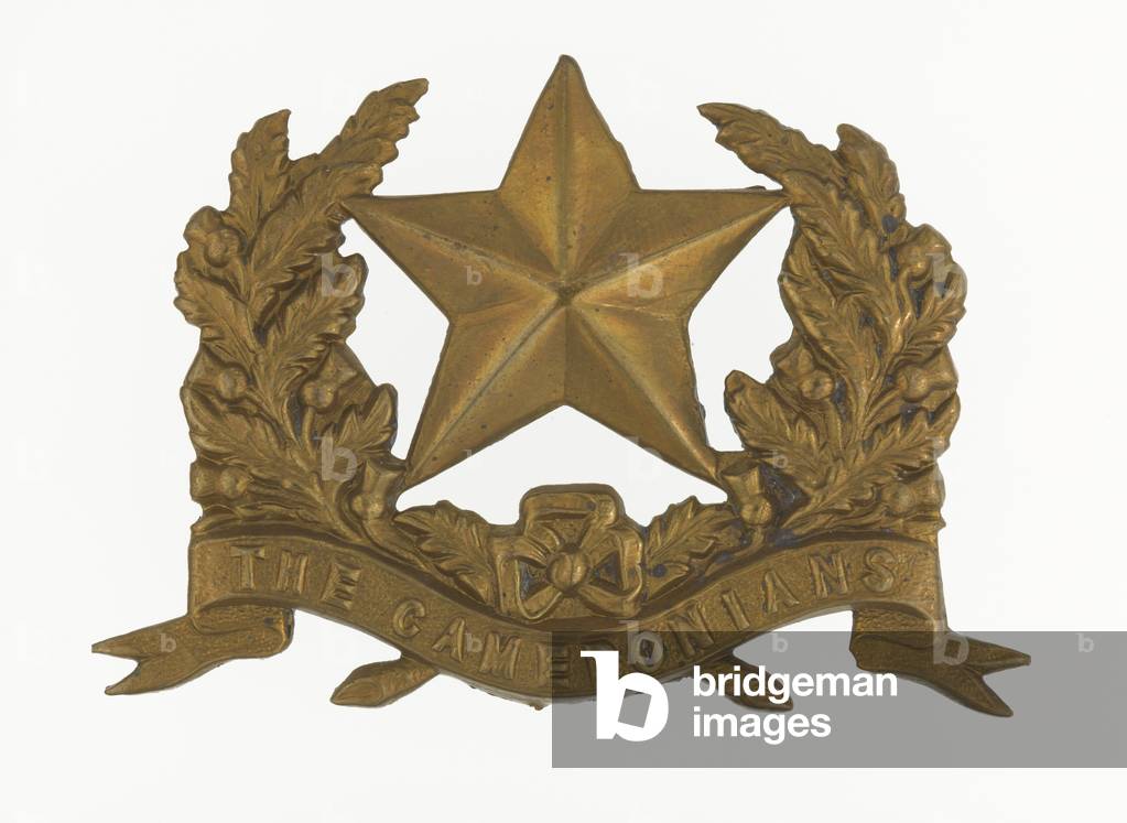 Glengarry badge, c.1874-81 (brass)