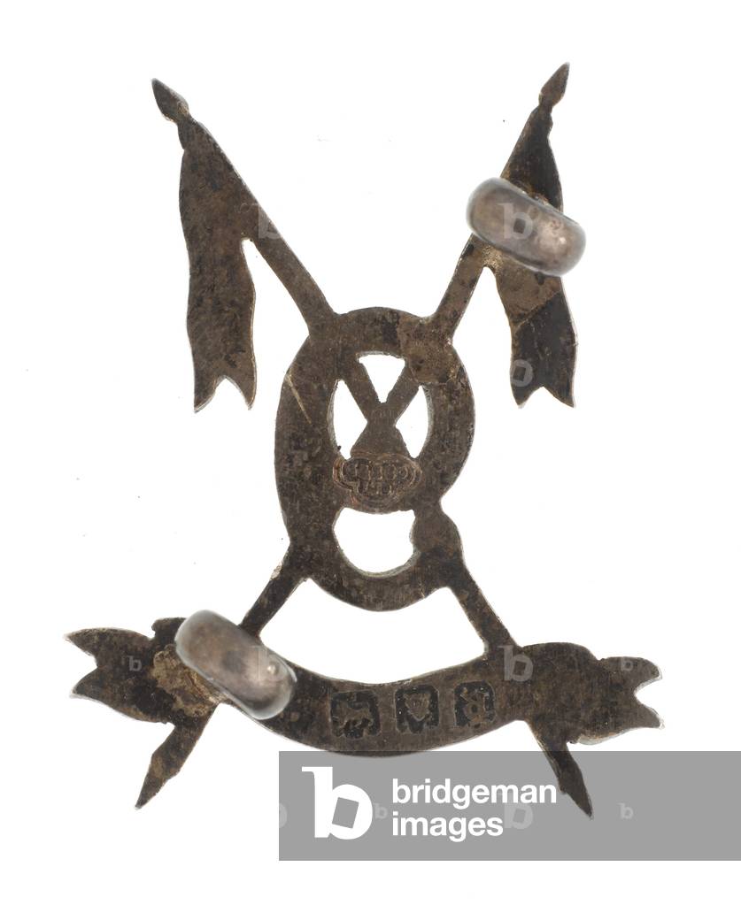 Collar badge, officer, 9th Hodsons Horse, 1903-1922 (metal)