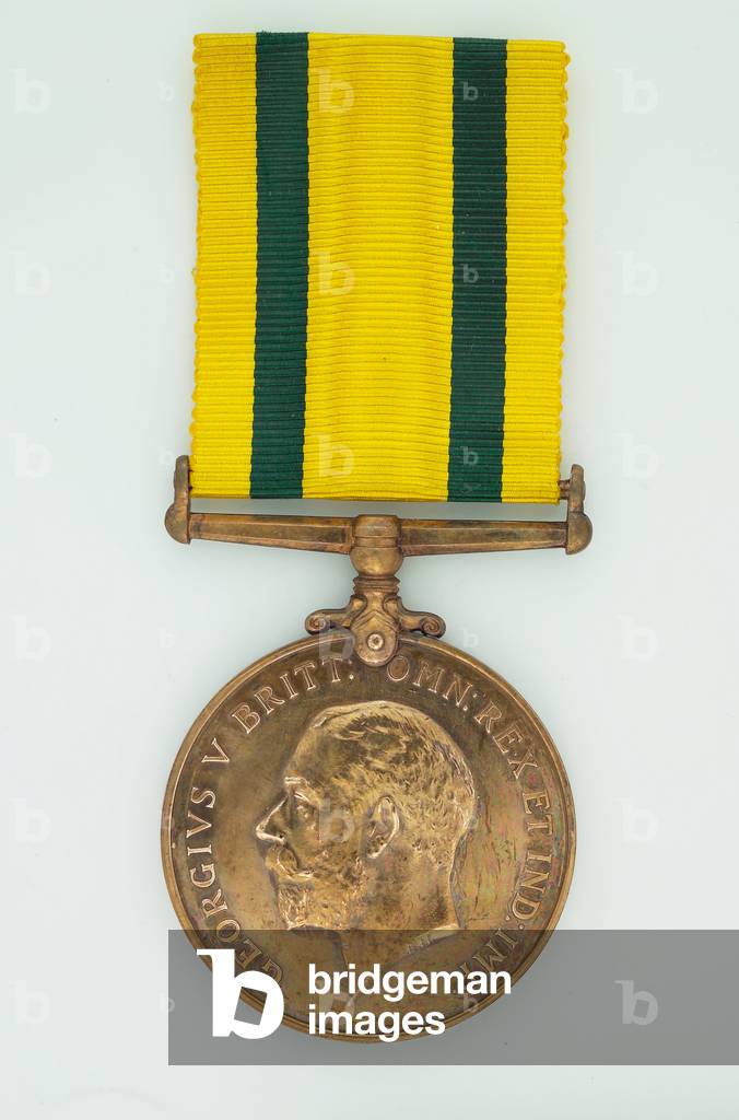 Territorial Force War Medal 1914-19 (metal)