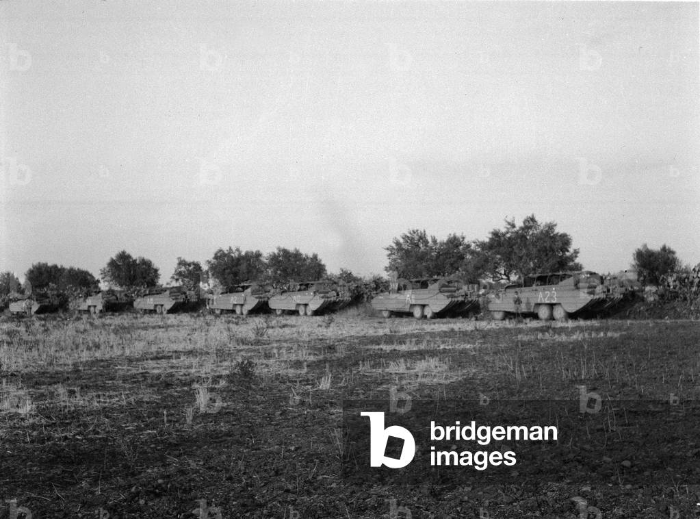 Amphibious DUKWs, Sicily, 1943 (b/w photo)