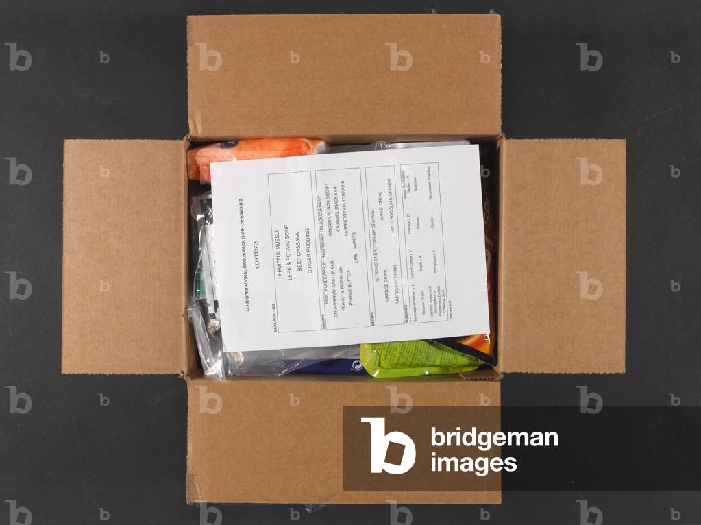 Cardboard box ration pack, menu two, 2013 (cardboard)