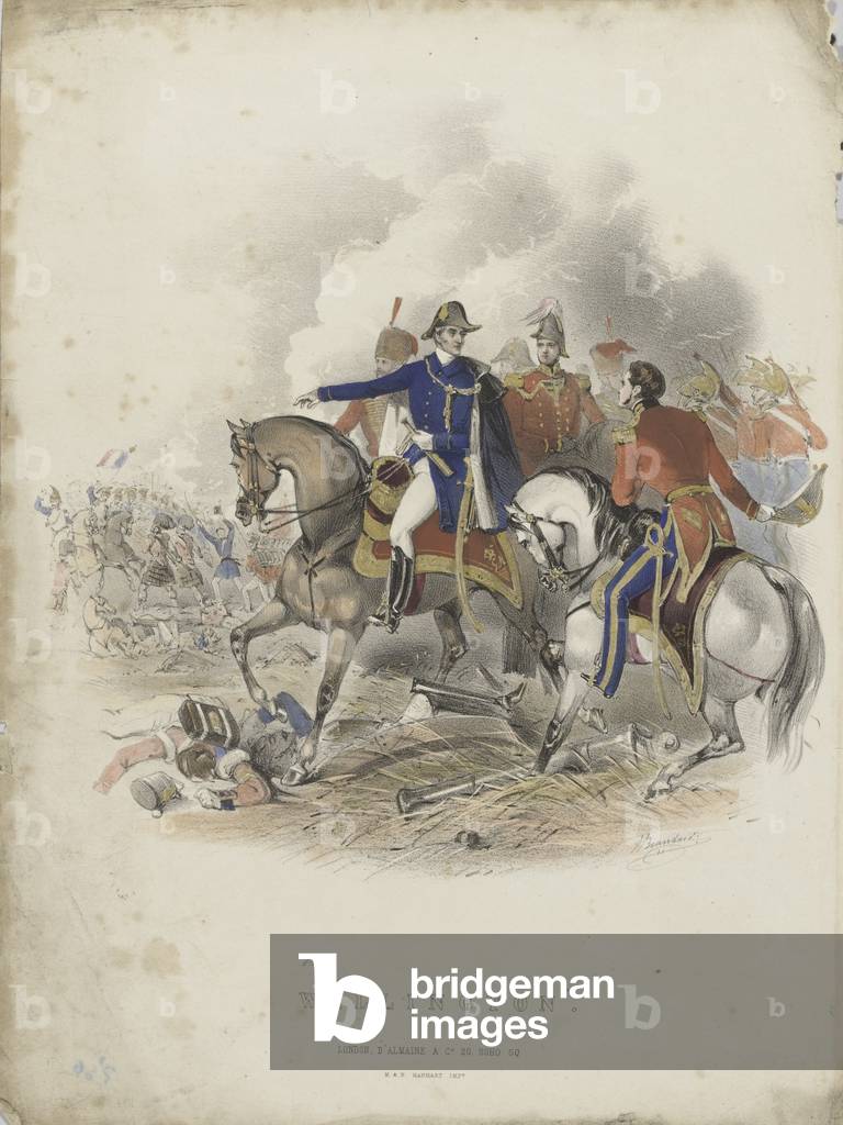 Wellington (colour litho)