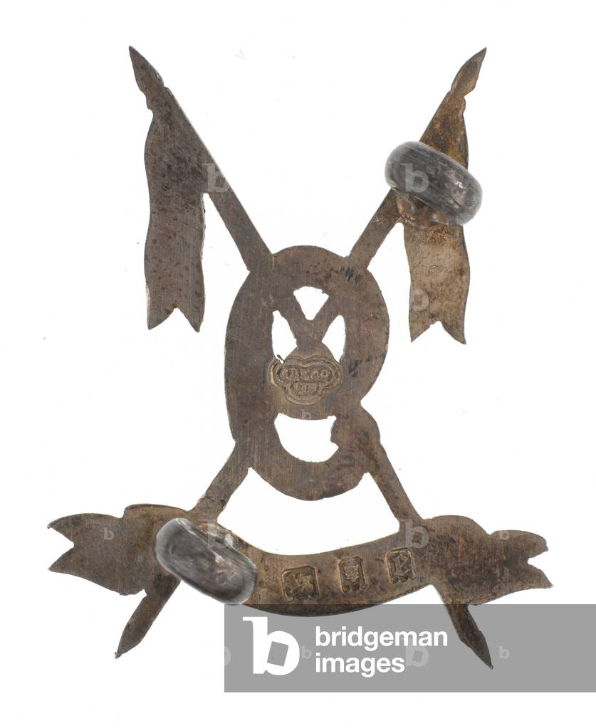 Collar badge, officer, 9th Hodsons Horse, 1903-1922 (metal)