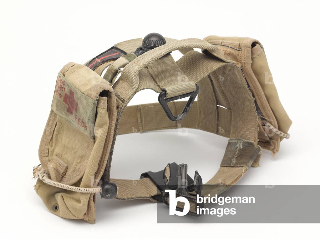 Customised harness for and Improvised Explosive Device (IED) search dog, 2007 circa