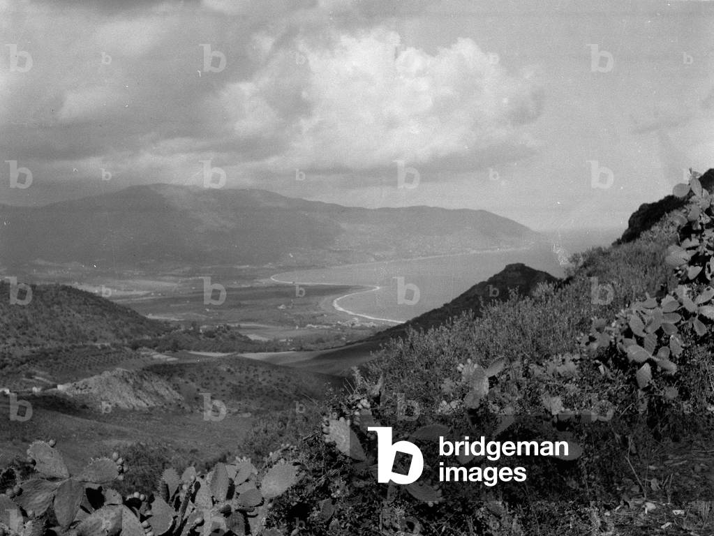 North coast of Sicily, 1943 (b/w photo)