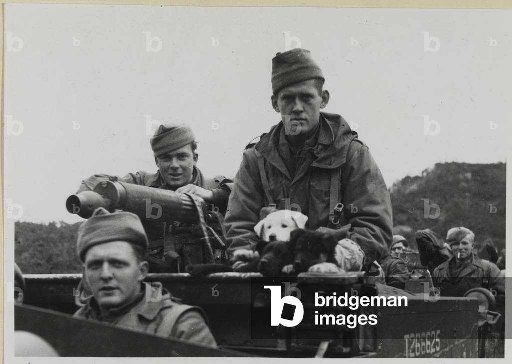 Machine gun carrier with crew and dog, 1st Bn Middlesex Regiment, Korea, 1950-51 (b/w photo)