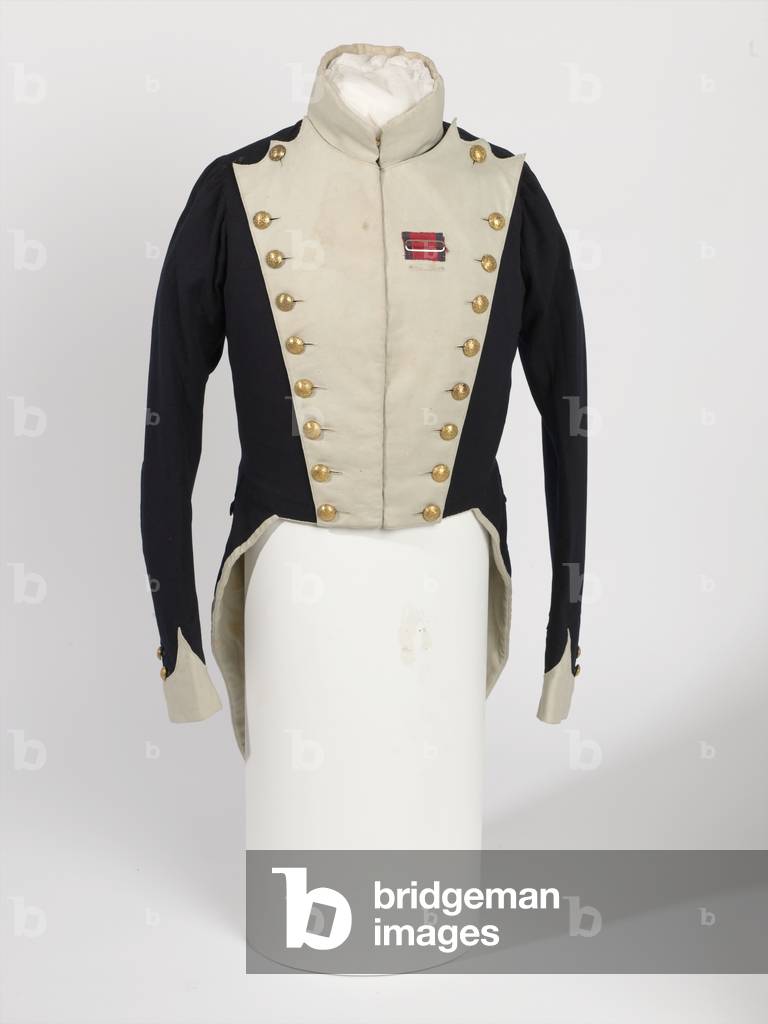 Officers Levee Dress Coatee, 22nd Regiment of (Light) Dragoons, 1815 (fabric)