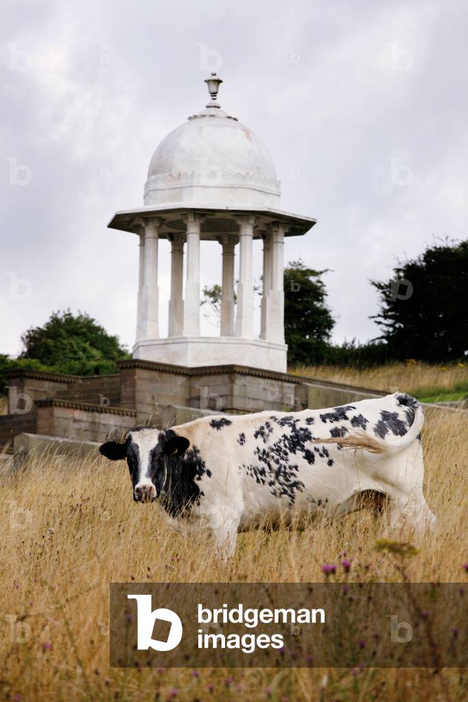 Chattri Memorial, 2008 (b/w photo)
