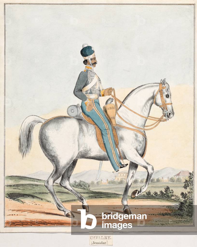 (Light) Cavalry (Jemadar), Madras Army, 1841 (lithlithograph, coloured)