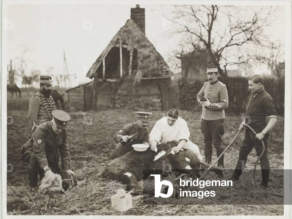 The Blue Cross Service in France, 1916 circa (b/w photo)
