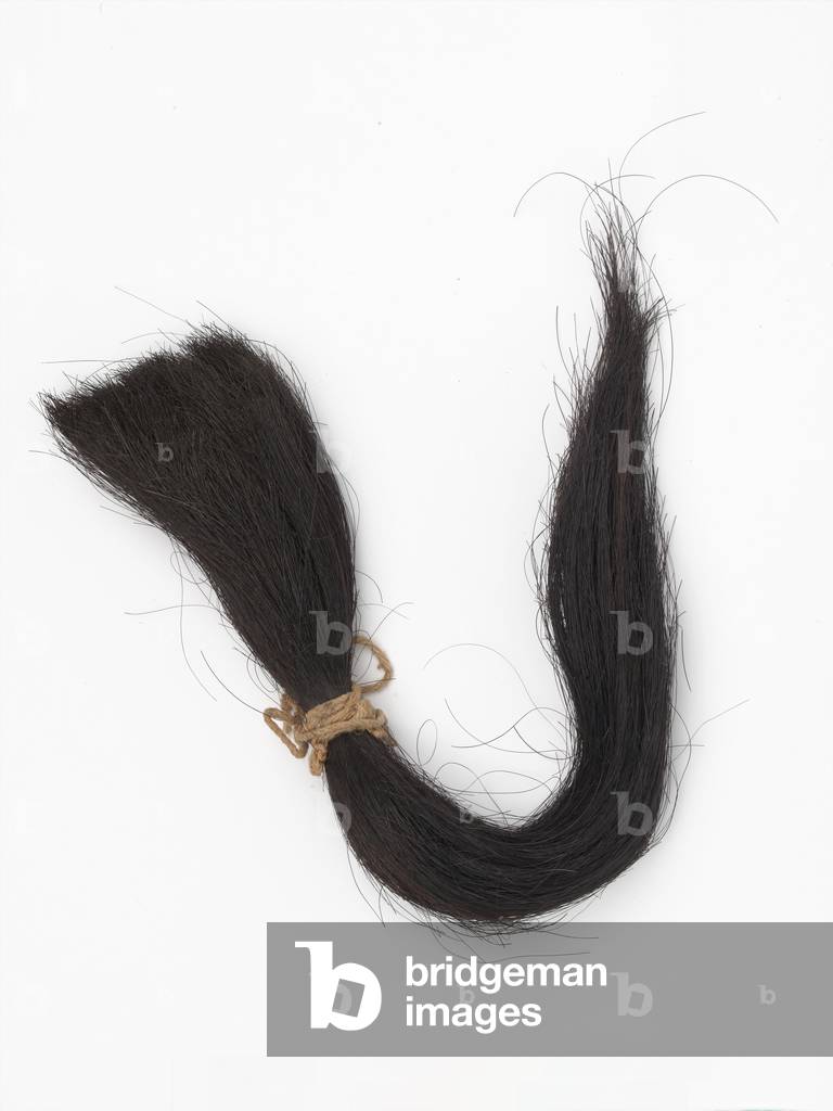 Horses tail, Blackie, 1910 circa (animal hair)