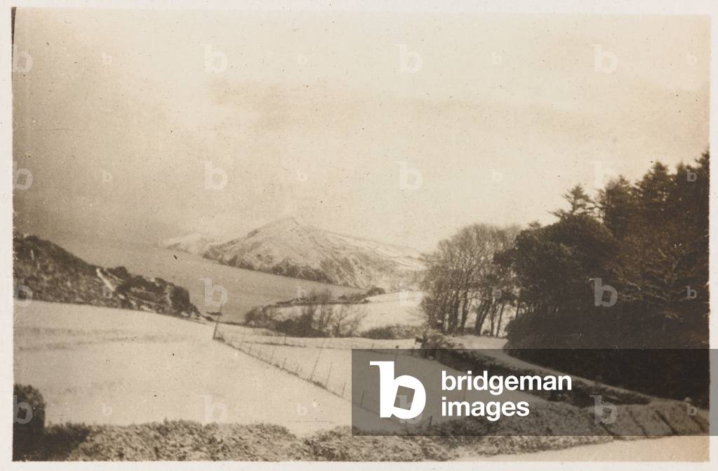 Snow-covered gardens near Watermouth Castle, Devon, 1918 (b/w photo)