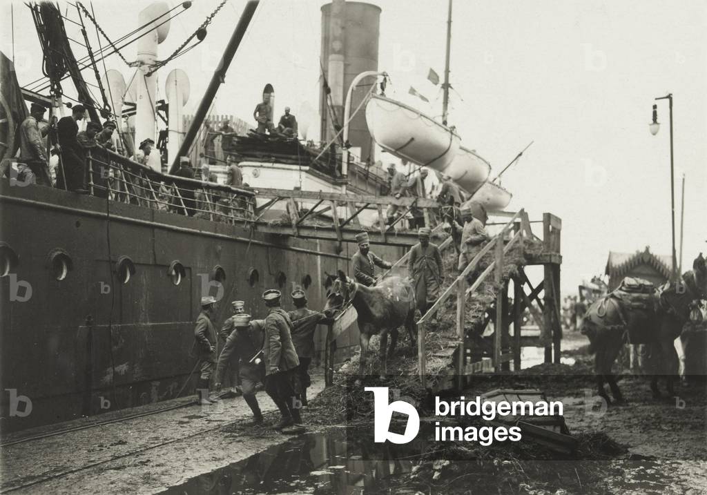 Horses disembarking from a ship, Salonika, c.1916 (b/w photo)