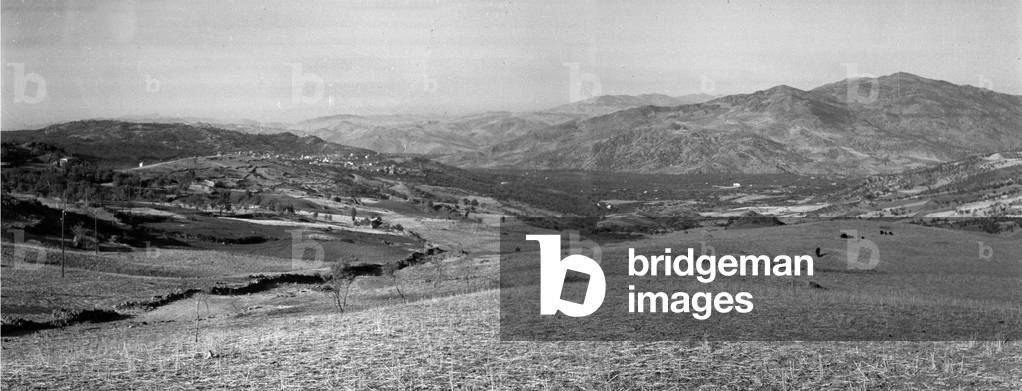View looking south towards Bronte, Sicily, 1943 (b/w photo)