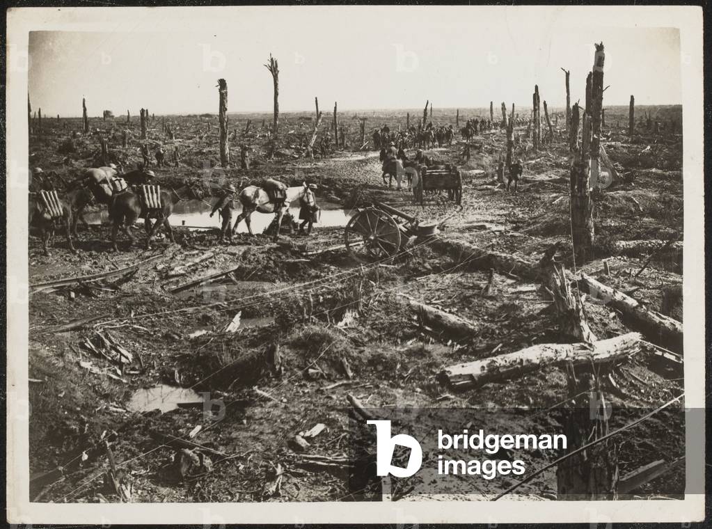 Ammunition convoy, 1916 circa (b/w photo)