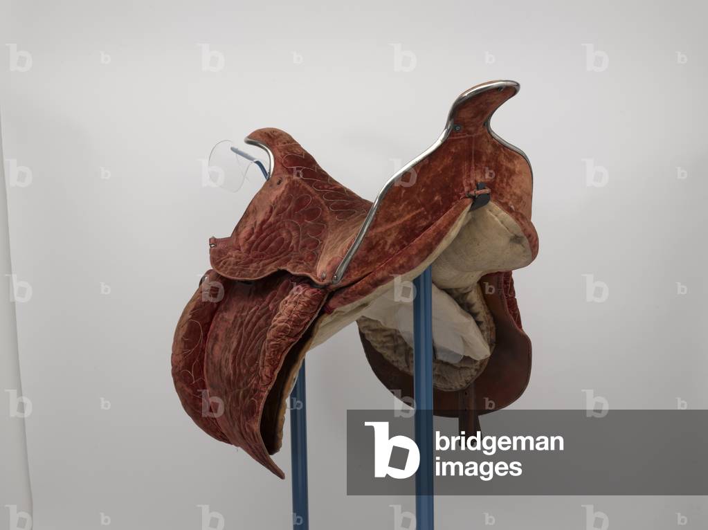 Saddle, George William Frederick Charles, 2nd Duke of Cambridge, 1856 circa (silk, leather, velvet and metal)