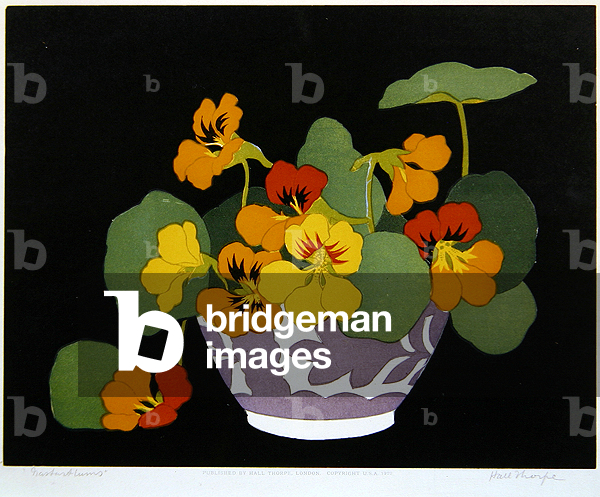 Nasturtiums (woodcut print)