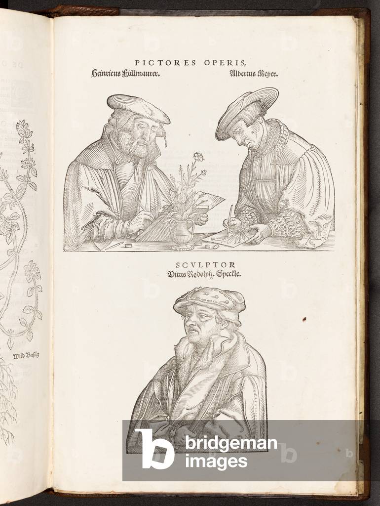 BT3.267.5 opp p896 Artists and Engraver, illustration from 'De historia stirpium commentarii insignes' by Leonhart Fuchs, 1542 (litho)