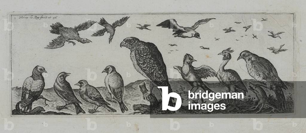 Old Master Engraving (engraving)