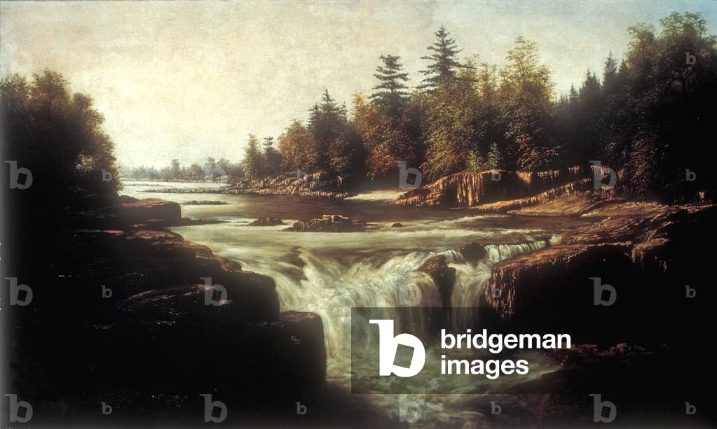 Little Falls of the Passaic River (oil on canvas on cardboard lining)