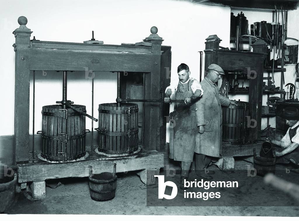 Grape Pressing (b/w photo)