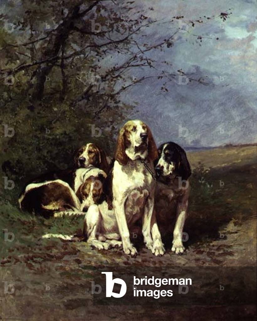 Hounds Resting (pannello)